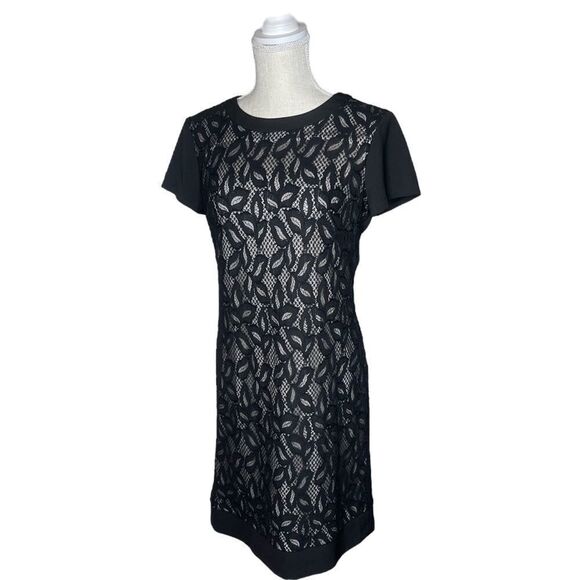 White House Black Market Lace Shift Dress Size 6 - Picture 6 of 12